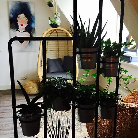 Happy בית הארחה