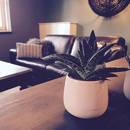 בית הארחה Happy 3*