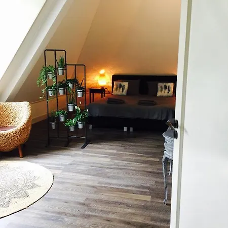 בית הארחה Happy 3*