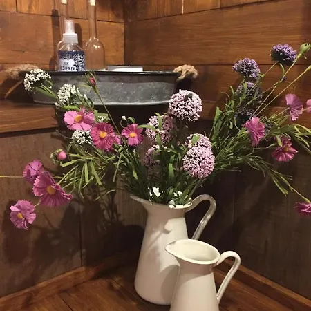 בית הארחה Happy Bentveld