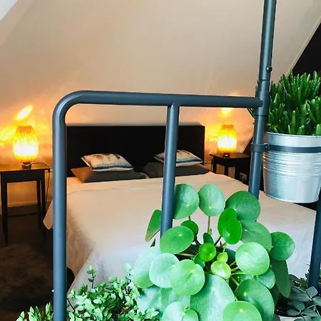 בית הארחה Happy Bentveld