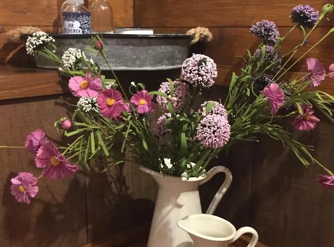 招待所 Happy Bentveld