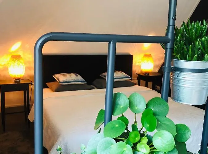 招待所 Happy Bentveld